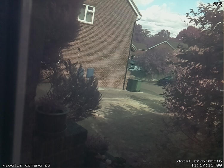 a photo