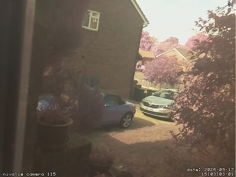 a photo