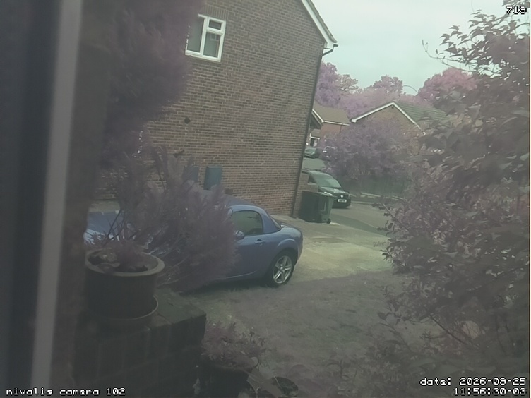 a photo